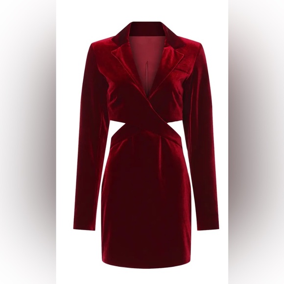 Nicholas Red Wine Velvet Dress w/ Side Cut Outs - Size & - Picture 5 of 11